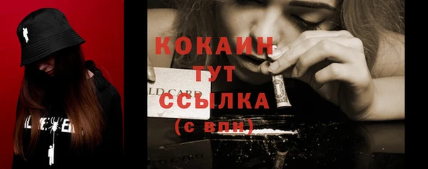 тгк Лиски