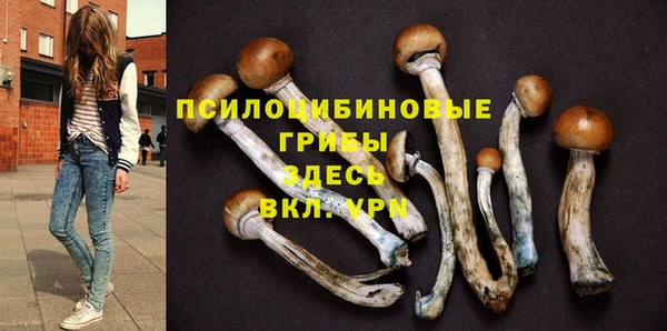 2c-b Липки