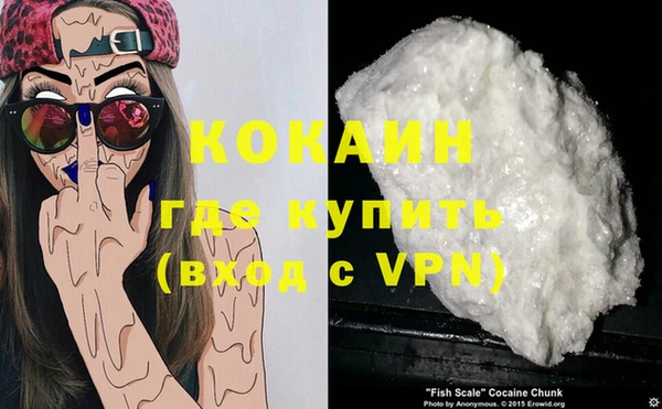 твердый Магас
