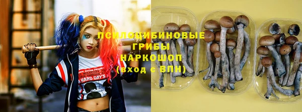 тгк Лиски